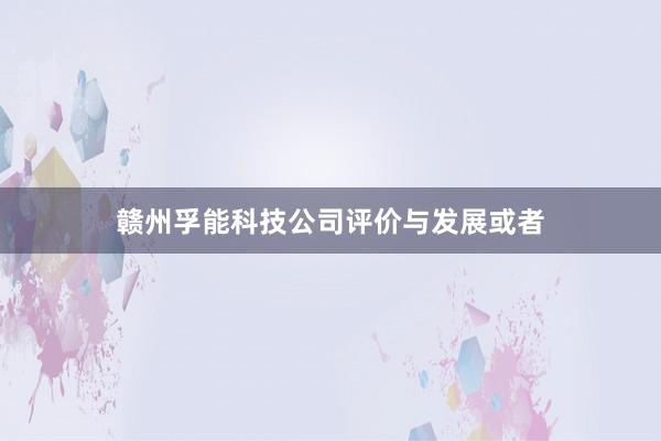 赣州孚能科技公司评价与发展或者