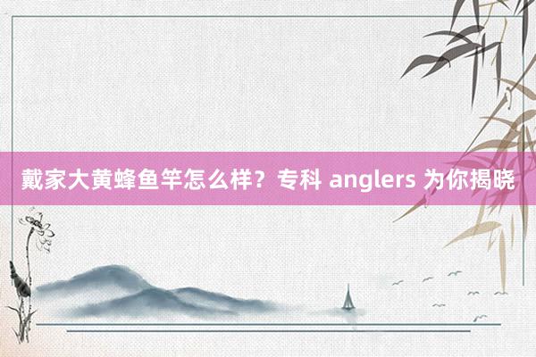 戴家大黄蜂鱼竿怎么样？专科 anglers 为你揭晓