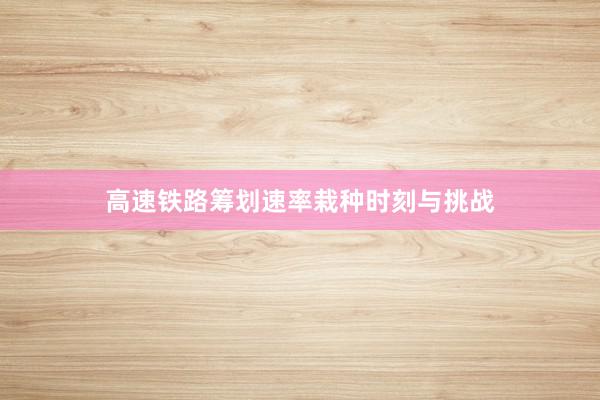 高速铁路筹划速率栽种时刻与挑战