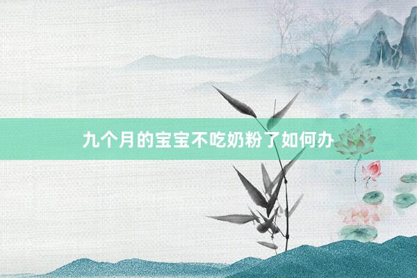 九个月的宝宝不吃奶粉了如何办
