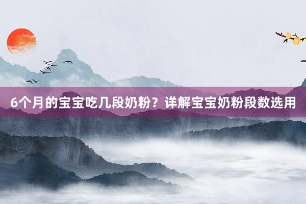 6个月的宝宝吃几段奶粉？详解宝宝奶粉段数选用