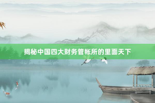 揭秘中国四大财务管帐所的里面天下